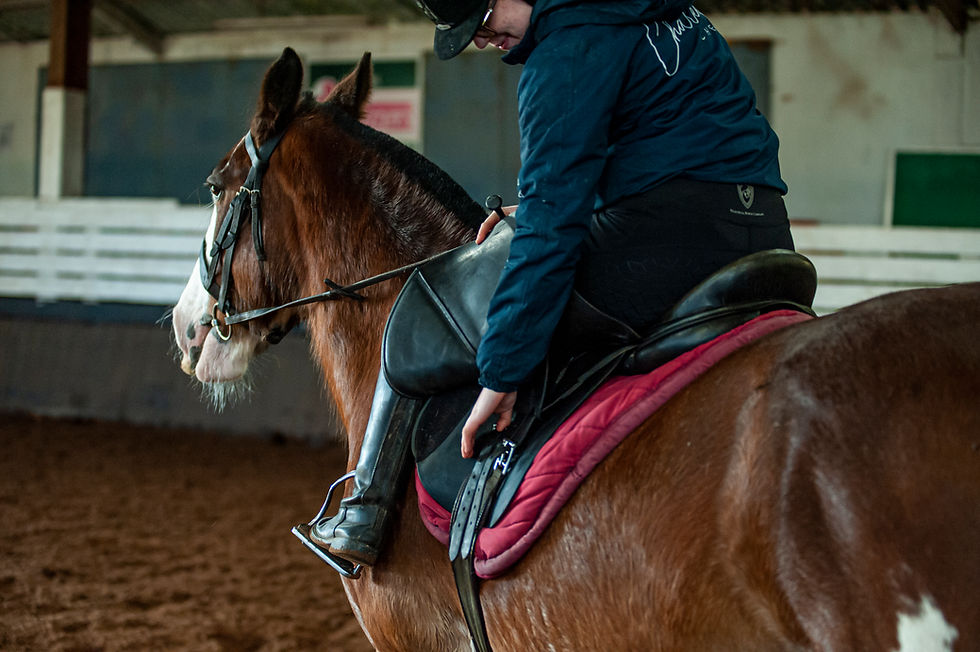 Saddlery repair and equestrian tack