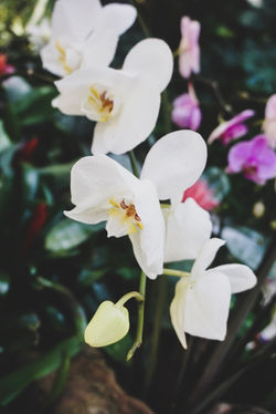 Nature - 13
