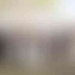 Bridal party standing together for a group portrait in front of White Barn at Padgett Place.