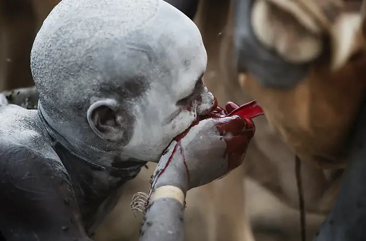 Learn how cattle bloodletting among the Suri connects to food, health, cattle camps, and pastoral identity in southwest Ethiopia.
