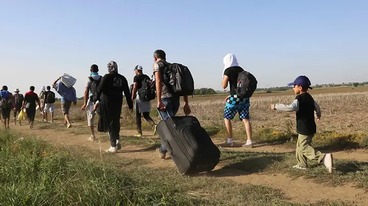 Migrants in South Africa’s Western Cape are hiding in mountains as xenophobic violence spreads.