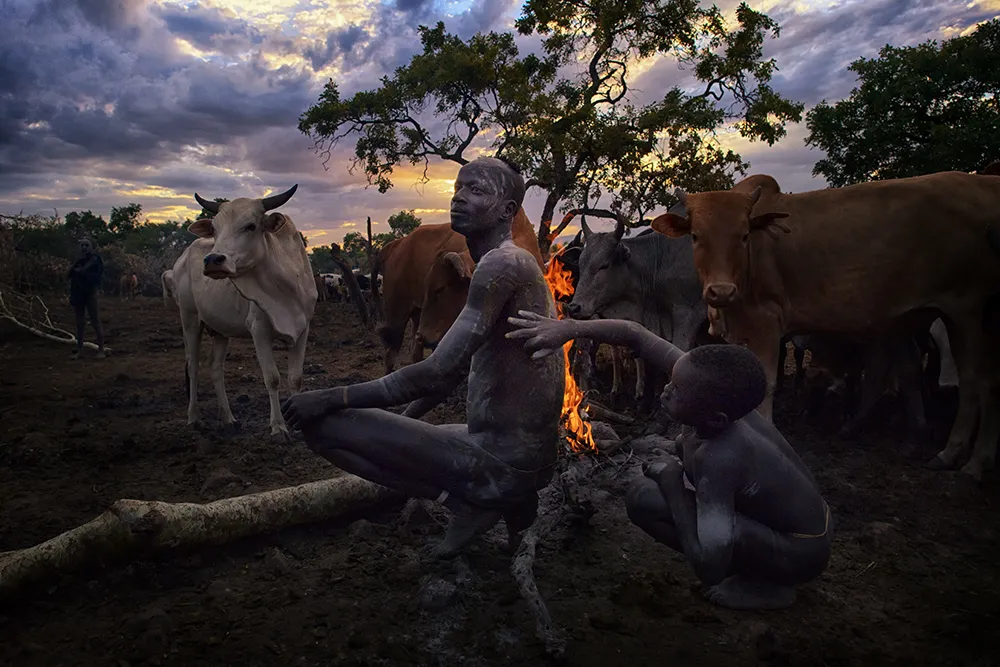 A Suri family gathers beside their cattle at dusk