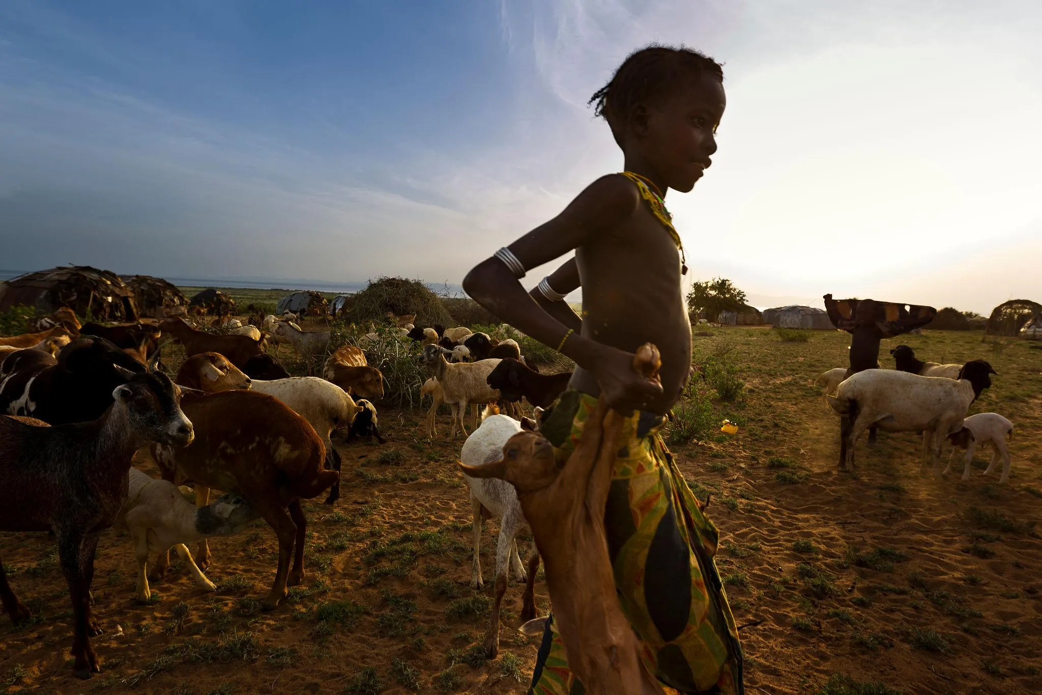 A young Daasanach child walks through a livestock camp near Lake Turkana