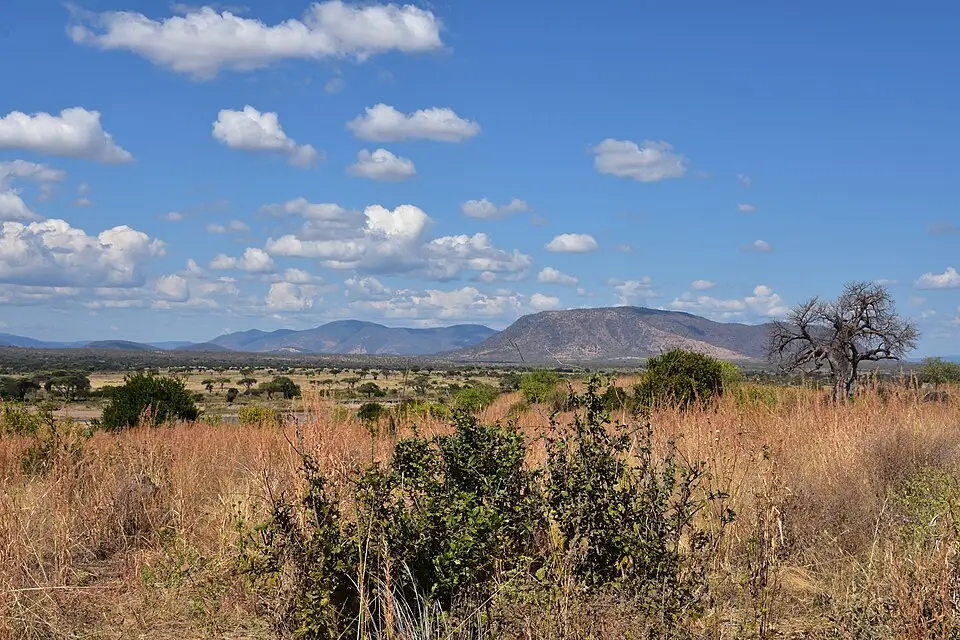 Ruaha landscape