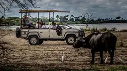 Nyerere vs Ruaha: Choosing a Southern Tanzania Safari