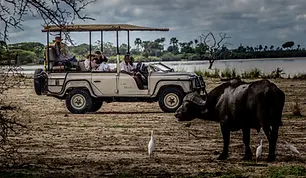 Compare wildlife, activities, access and costs before choosing Tanzania’s southern safari park.