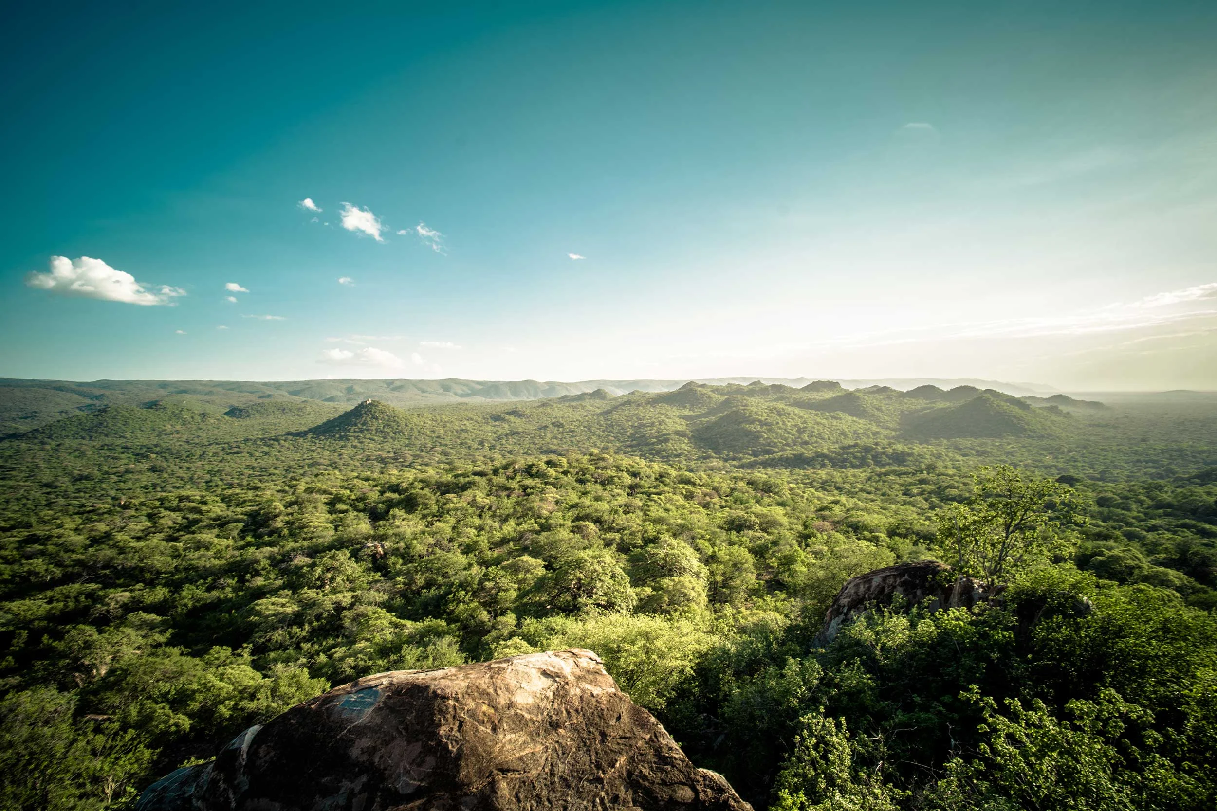 Overlooking Hadza Ancestral Homeland