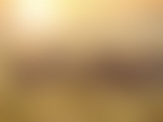 Tanzania's top tourist destinations for an unforgettable experience