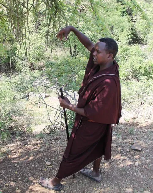 Traditional Maasai healer