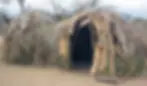 A traditional Hadza shelter built from branches, grass, and leaves