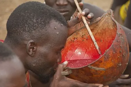 Drinking cow blood is normal with the Maasai