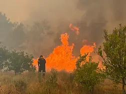 Cape Winelands teams use back‑burning and air support to shield farms; no casualties reported so far