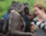 A tourist shares a moment with Suri community members while reviewing photographs on a camera in Ethiopia's Lower Omo Valley