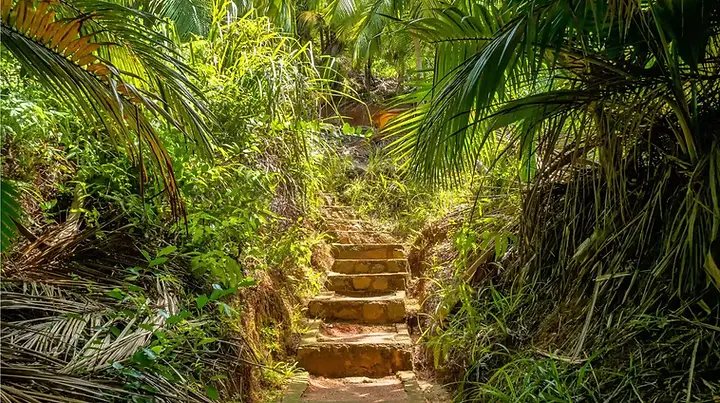 Explore Seychelles’ hidden gems in 2025 secret beaches, lush trails, and remote atolls far from the crowds. Adventure awaits beyond the brochures.