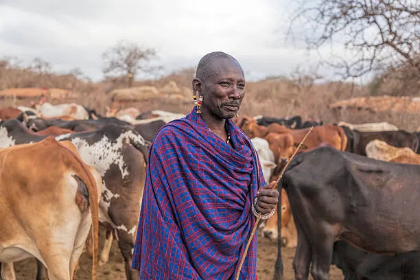 Maasai pastoralist