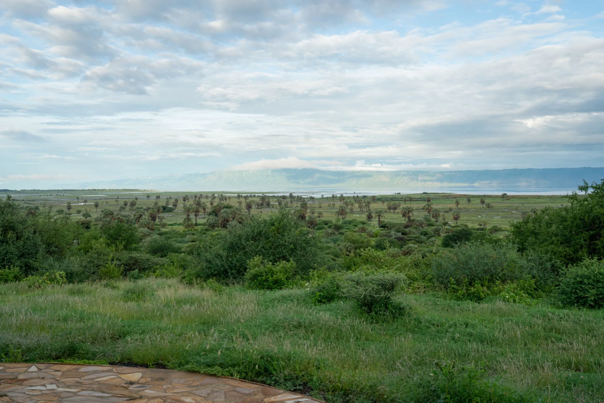The rugged environment of the Lake Eyasi basin. Source: Ivan Grabilin / Getty Images