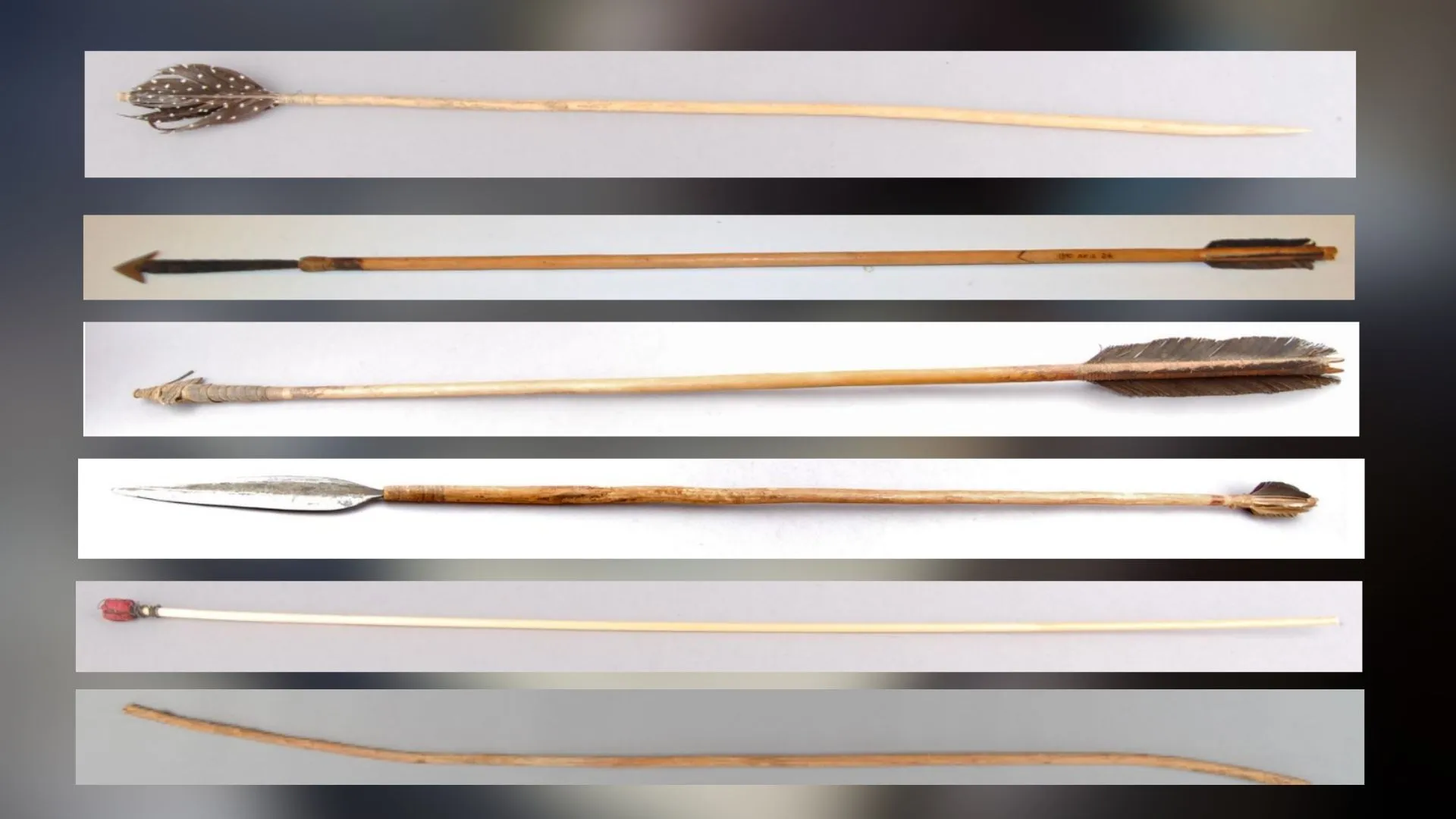 Ready to use handmade hadza arrows 