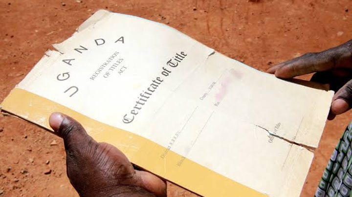 Uganda has reopened replacement land-title applications. Understand special certificates, documents, Gazette notices, older fee schedules and checks.
