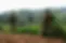 fardc-thwarting-m23-advances-despite-rwandan-drone-support