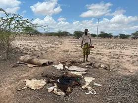 East Africa drought crisis deepens as Turkana hunger worsens