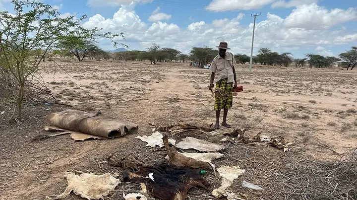 Drought in Kenya’s Turkana reflects a wider East Africa hunger crisis as millions face food shortages and limited aid.