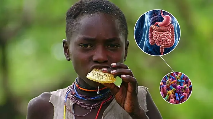 Hadza microbiome studies reveal seasonal gut diversity, fiber-linked microbes, and clues about industrialized disease risk.