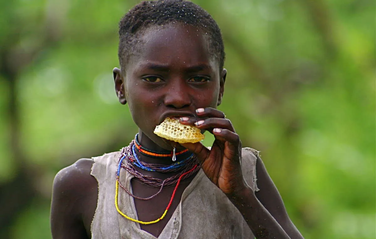 Honey is a prized traditional food and a key part of the diverse diet