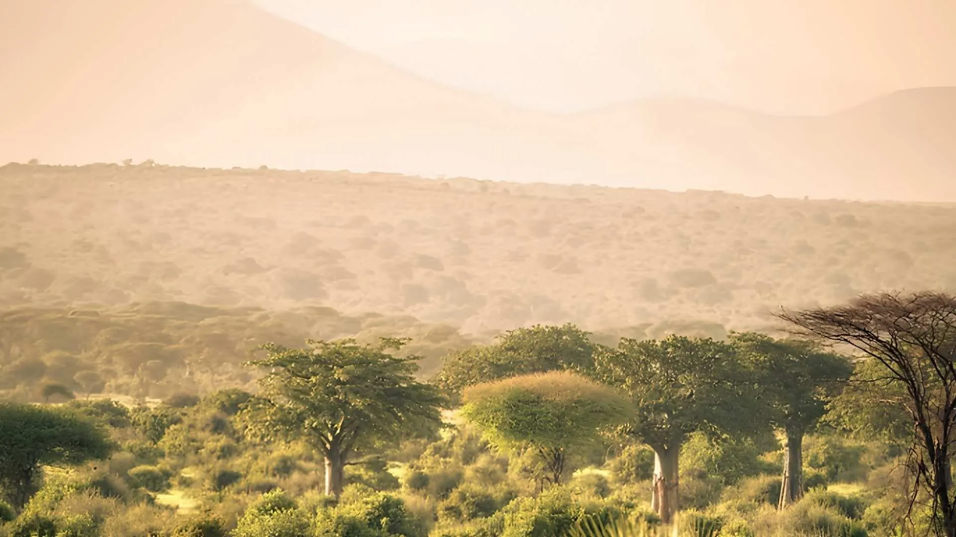 Bautiful Hadza Heritage