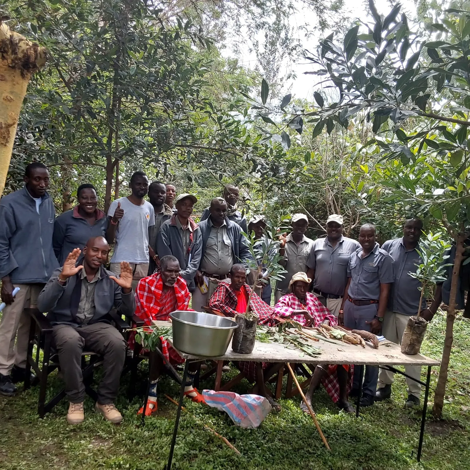 Maasai herbalist