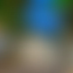 Top Tourist Attractions in Miami: Discover the Magic of the City with Inn Side