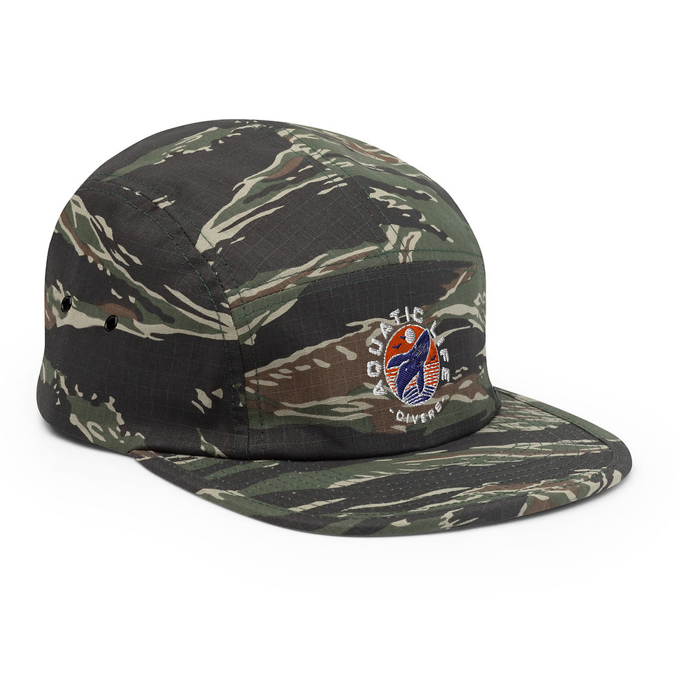 Thumbnail: ALD Five Panel Cap