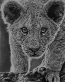 Digigraphie , Lion, Lionne, Lionceau, Digigraphie , copie d'art , Alexis Raoult , art, dessin, dessin d'un lion
