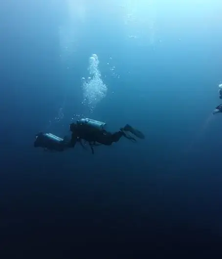 What is PADI Hawaii Certification and Why is it Important?