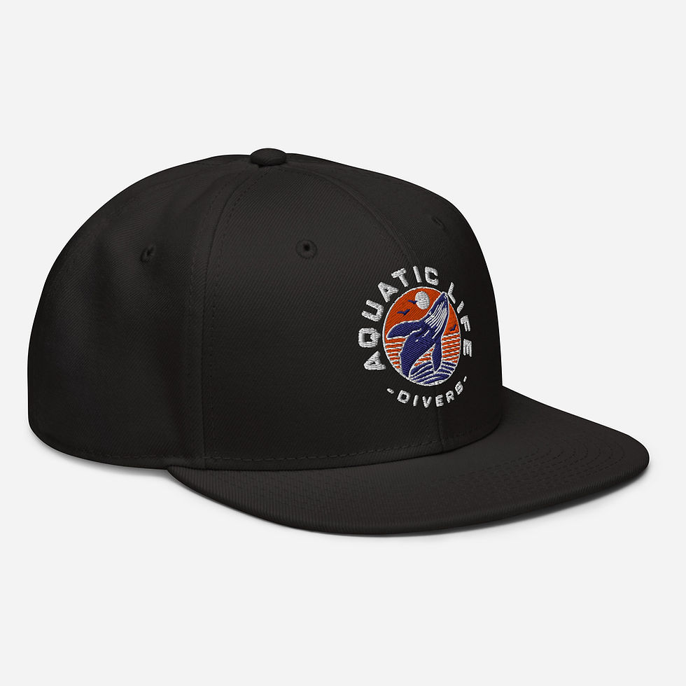 Thumbnail: ALD Snapback Hat