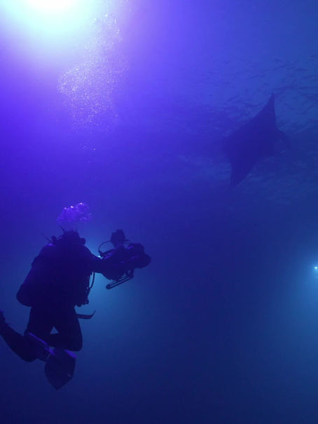 Dive into the Magic: Top 2 Places for Manta Ray Night Dives in Kona, Hawaii