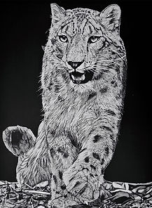 Disegno del leopardo delle nevi, leopardo delle nevi, digigrafia, copia d'arte, Alexis Raoult