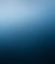 Discover Dolphin Swim Kona Adventures