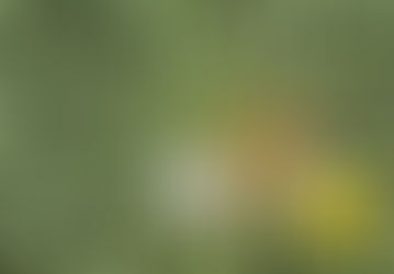 Are We Letting The Weeds Grow?