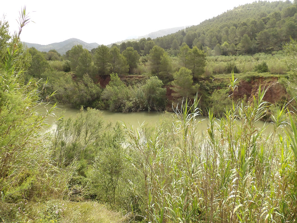 carp fishing at oasis country park valencia