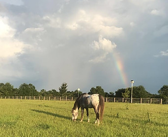 rainbow.jpg