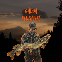 FISKA GÄDDA I jämtländsk natur (6).png