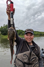 Brown Bullhead Robert Lake 2019.jpg