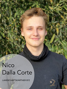 Nico-NEU.jpg