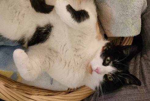 WhatsApp Image 2026-01-31 at 21.09_edited.jpg