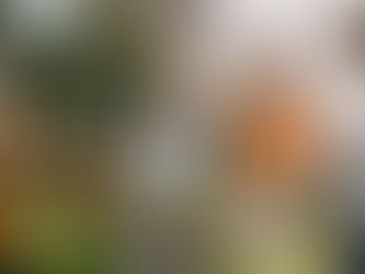 Fire Code for Outdoor Grills: What Every Property Owner and Multifamily Resident Needs To Know