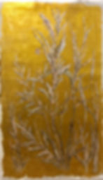 Fleurs Sauvage 1