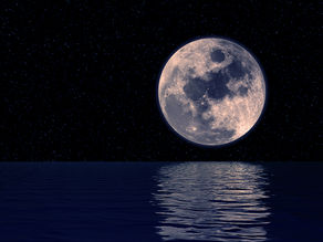 LANGUAGE IS THE ONLY HOMELAND