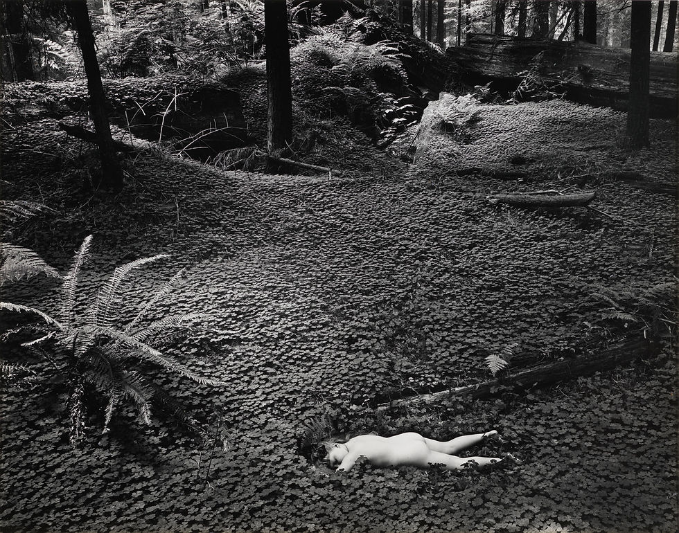 Child in Forest Wynn Bullock