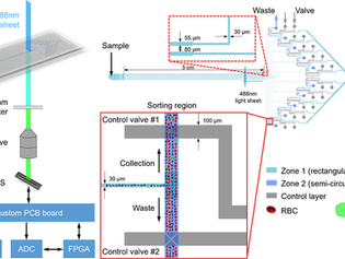 Ultra-fast CTC enrichment