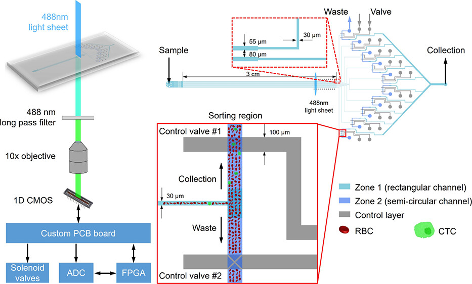 Ultra-fast CTC enrichment